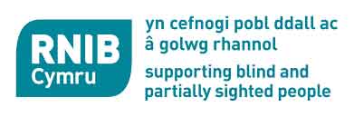 RNIB Cymru to independent parliamentary review interim report on health and social care