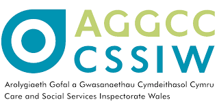 CSSIW 2016-17 annual report published