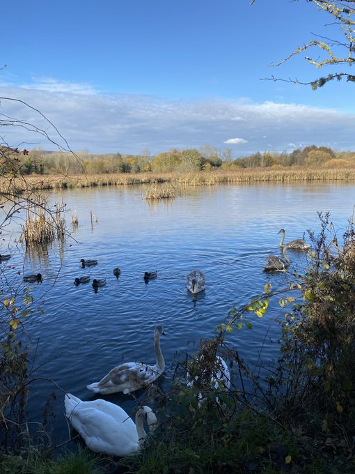 What is RCT Council using for infill next to Cwmbach Wetlands