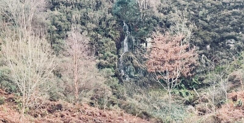 A stream flowing below a redundant coal tip Ynyshir Rhondda