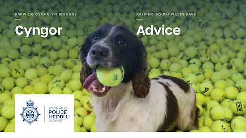 Paws for thought… Some tips on how to keep you, your dog and your visitors safe