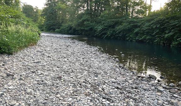NRW taking action as Wales experiences prolonged dry weather