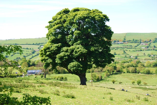 Welsh Labour plans to inflict harsher climate change policies on Wales