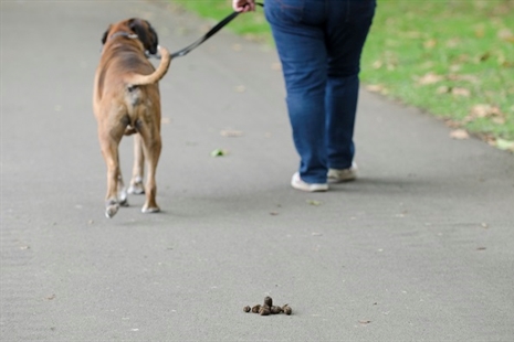 Dog Fouling Extension approved, any fouling by any animal is a danger to Public Health not only dogs