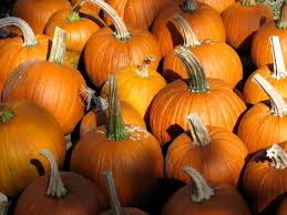 Recycle your pumpkins with Rhondda Cynon Taf Council and Biogen