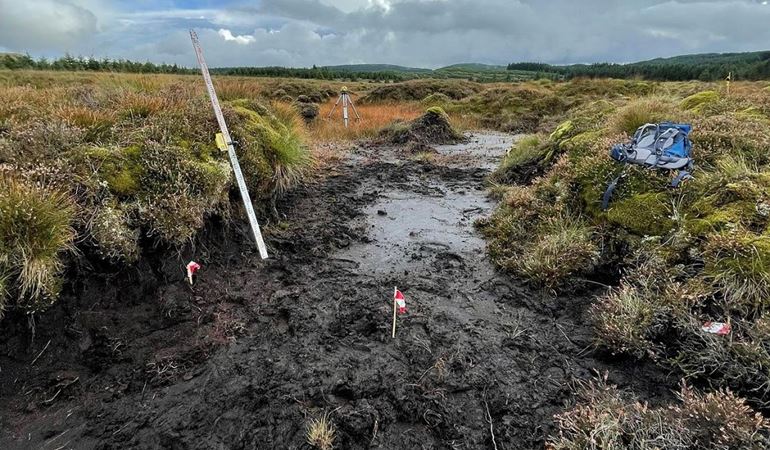 Peatland owners offered funding to prepare for restoration