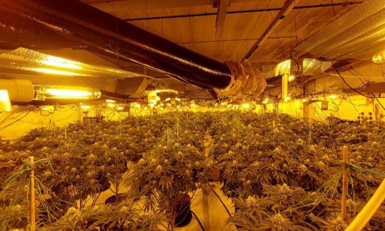 A unit on Treforest Industrial Estate was being used for large-scale cannabis production.