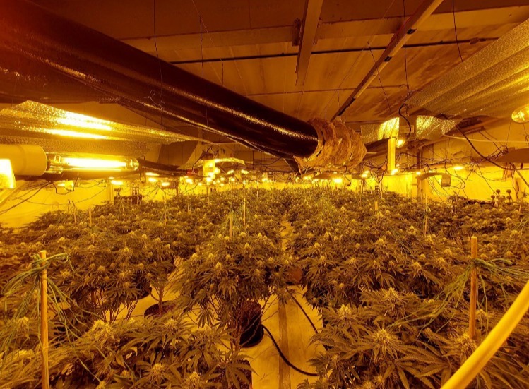 A unit on Treforest Industrial Estate was being used for large-scale cannabis production.