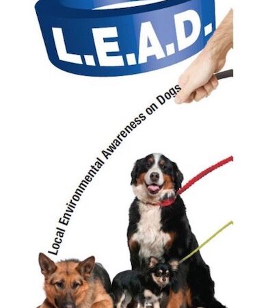 LEAD scheme encouraging responsible dog ownership launches in Mid Glamorgan