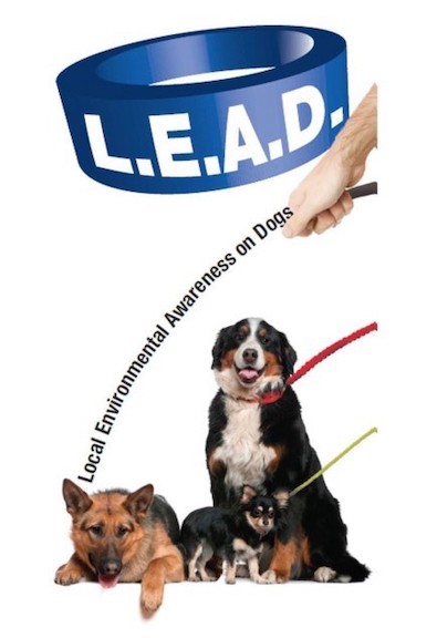 LEAD scheme encouraging responsible dog ownership launches in Mid Glamorgan
