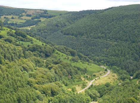 Views wanted on how the forests in Caerphilly and Torfaen are managed