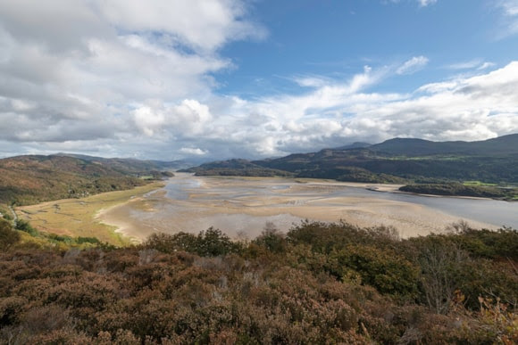Further action needed to protect Wales’s marine protected areas