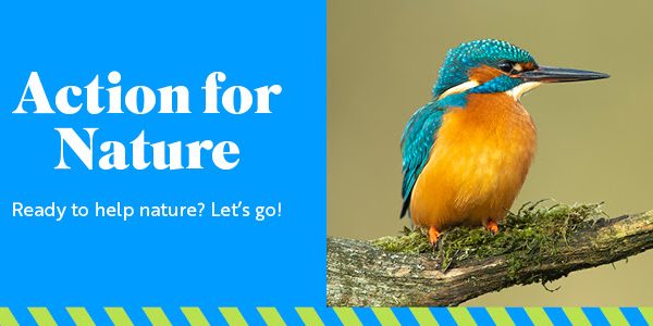 Coming together to demand action for nature in Wales