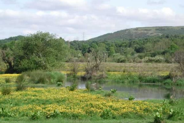 Local council maintenance  in county borough beauty spots