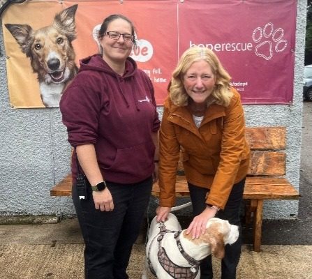 Thinking of getting a dog to visit Hope Rescue first.